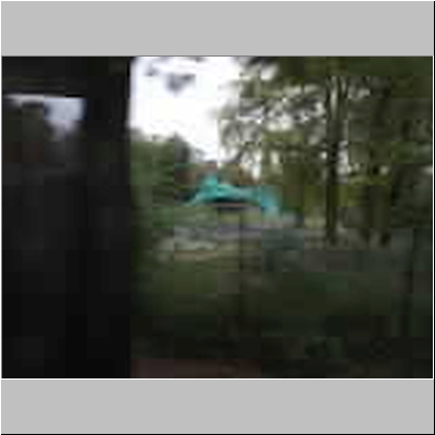DSCF4677.JPG