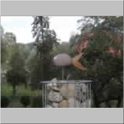 DSCF4711.JPG