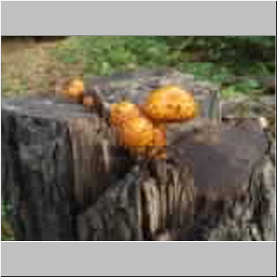 DSCF4714.JPG